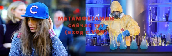 шишки Надым