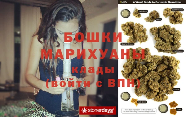 шишки Надым