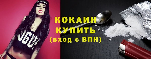 прущие грибы Наволоки