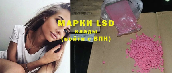 шишки Надым