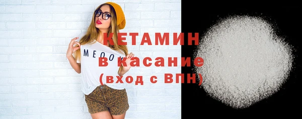 шишки Надым