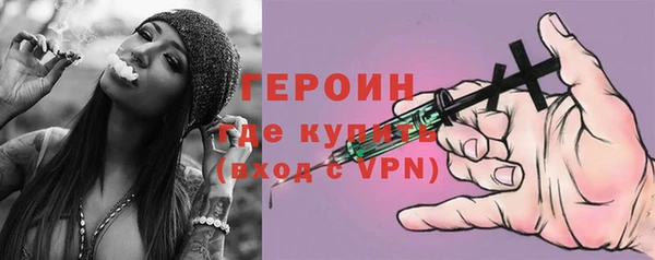 шишки Надым