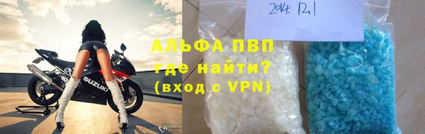 шишки Надым
