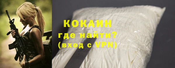 шишки Надым