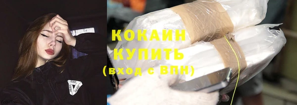 шишки Надым