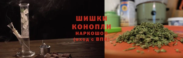 прущие грибы Наволоки