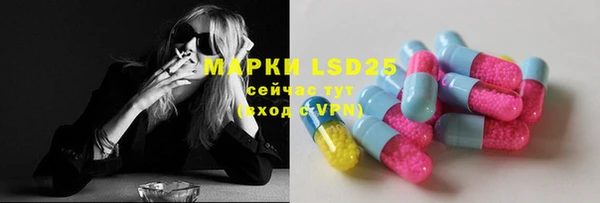 прущие грибы Наволоки