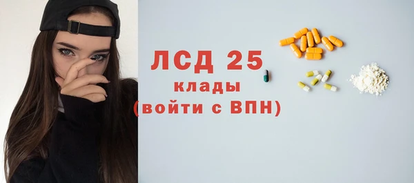 шишки Надым