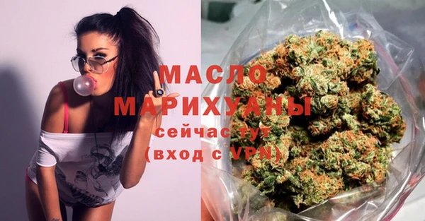 шишки Надым