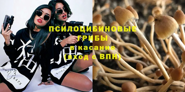 прущие грибы Наволоки