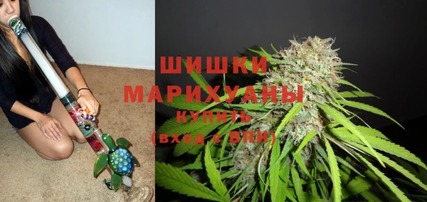 шишки Надым
