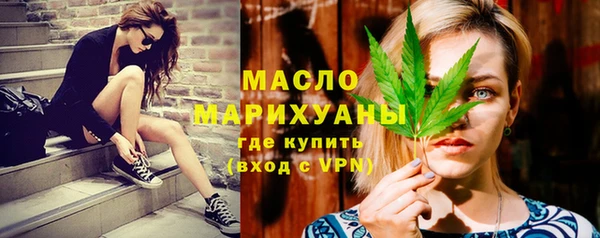 шишки Надым
