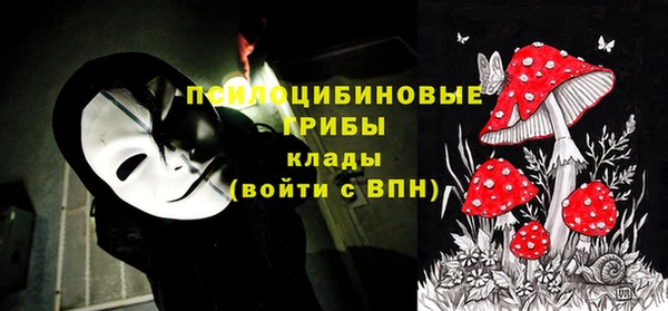 прущие грибы Наволоки