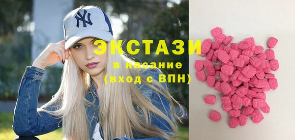 шишки Надым