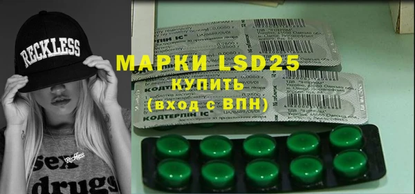 прущие грибы Наволоки