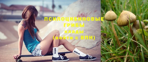 шишки Надым