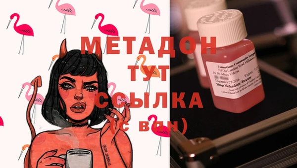 прущие грибы Наволоки